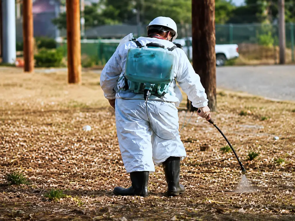 Anti Termite Treatment